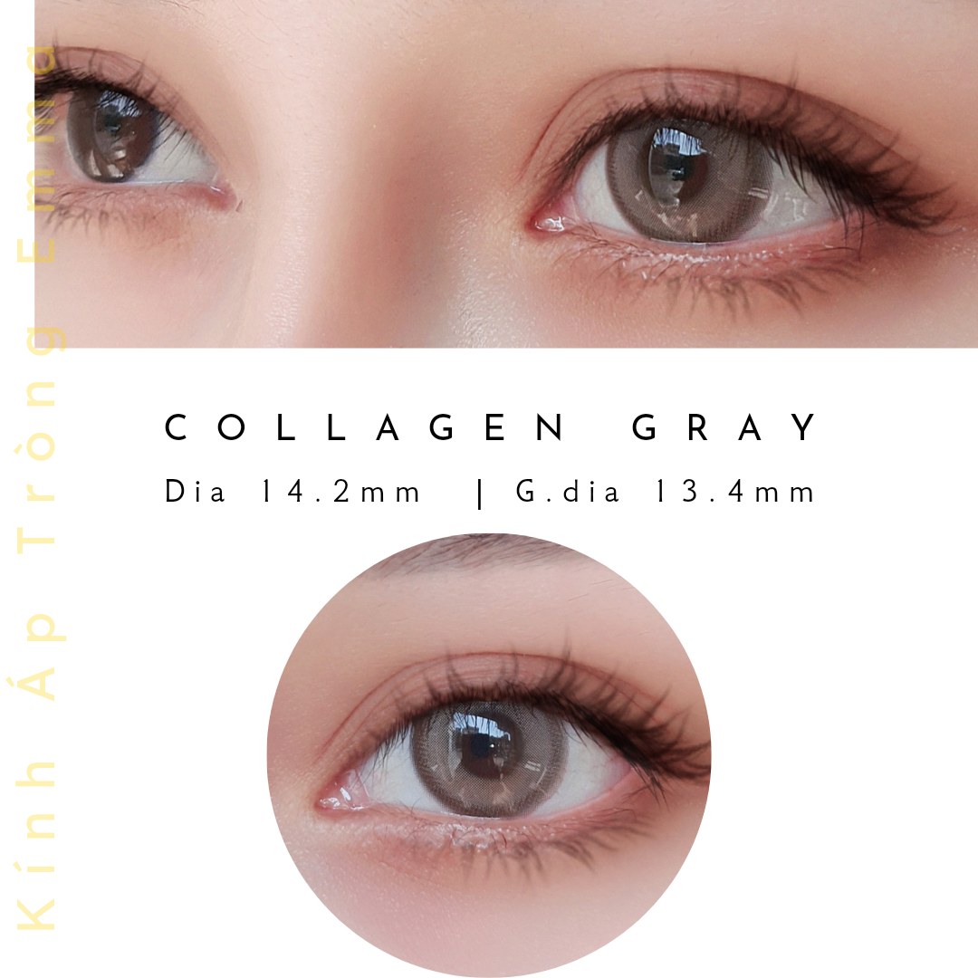 Collagen Gray OV