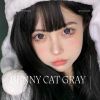 benycat-gray-14-5 - ảnh nhỏ  1