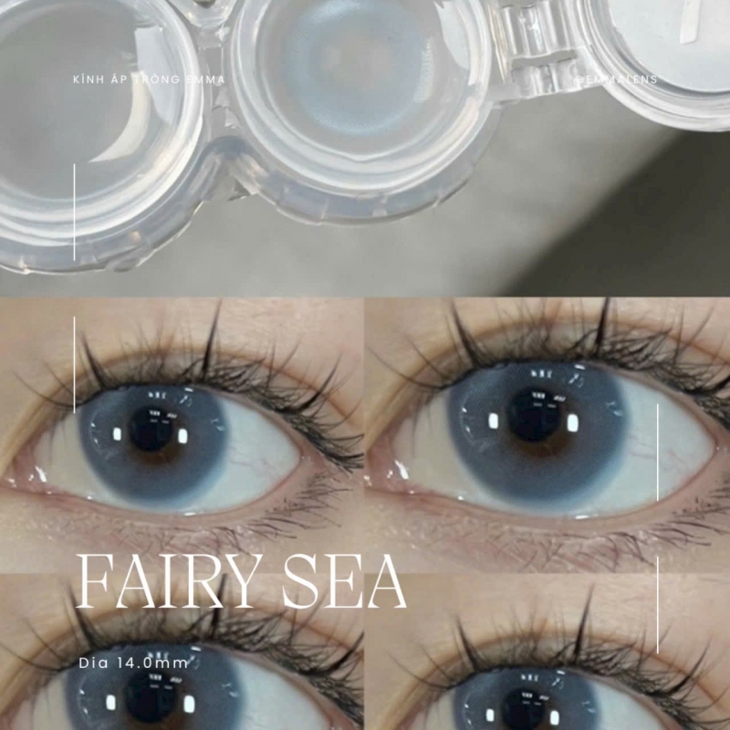 Fairy Sea Blue | 14.2