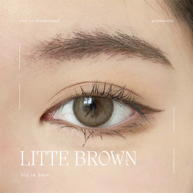 Little Brown | 14.0