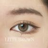 little-brown-14-0 - ảnh nhỏ  1