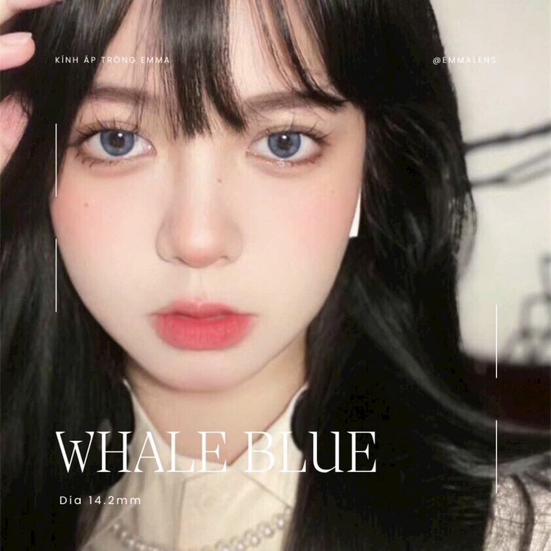 Whale Blue | 14.2